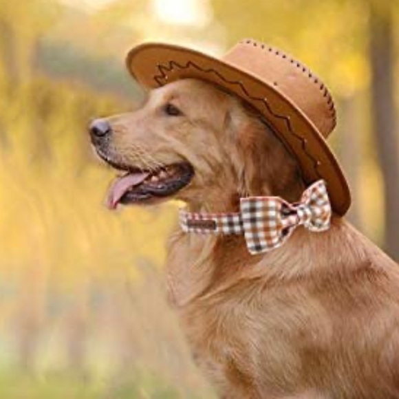 Elegant Little Tail Other - 🐶 Plaid Bowtie Collar